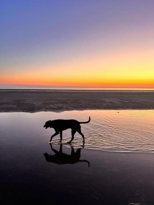 Luv & Lee Waterkant Ferienwohnung Spo Sankt Peter-Ording Exteriér fotografie